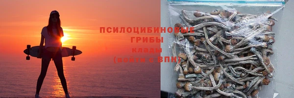 ПСИЛОЦИБИНОВЫЕ ГРИБЫ Армянск