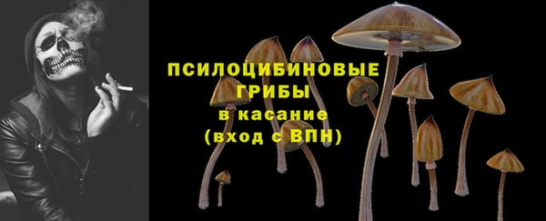 стаф Арсеньев