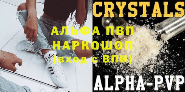стаф Арсеньев