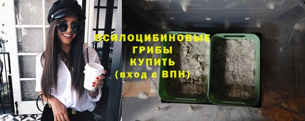 стаф Арсеньев